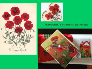 coquelicots cadeaux